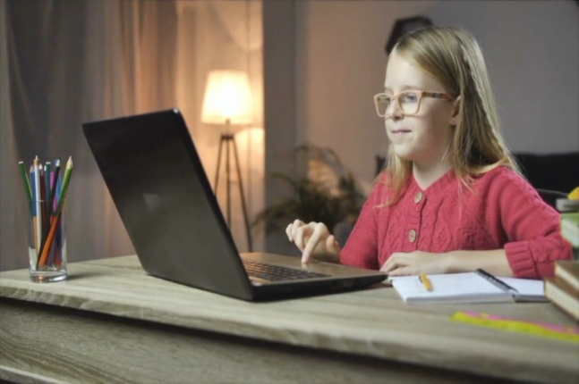 Young Female Student With Laptop