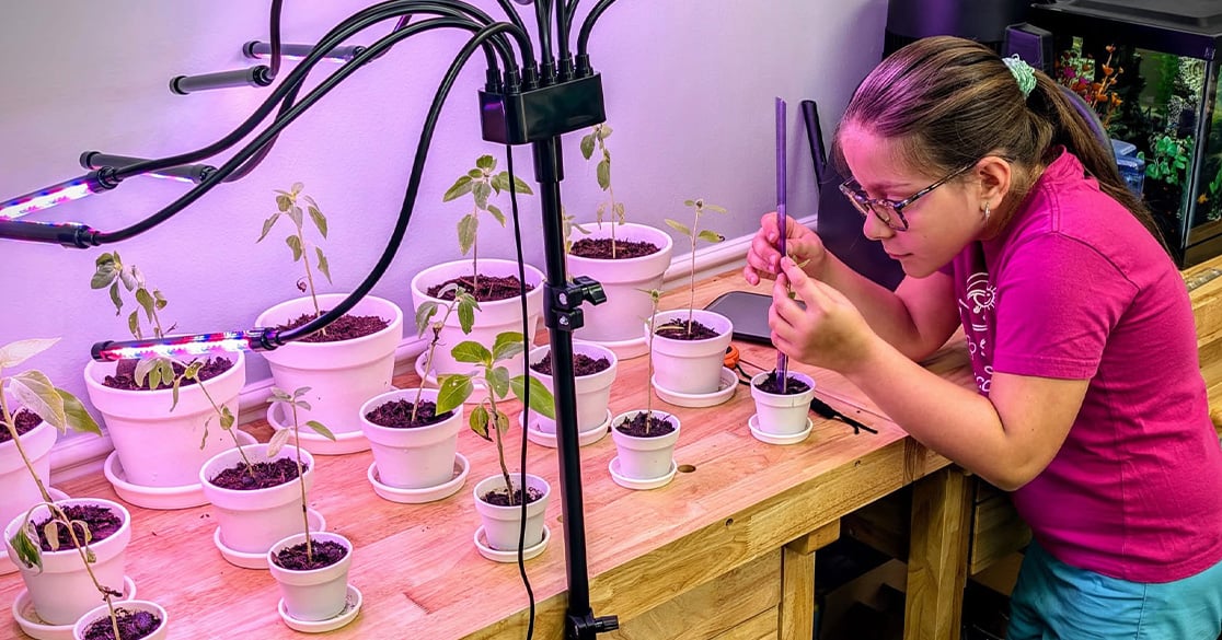 Highlights From the 2025–26 FLVS Science Fair Highlights From the 2025–26 FLVS Science Fair